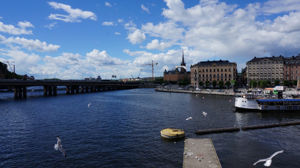 stockholm birds